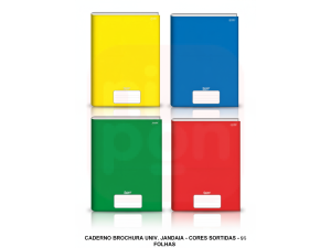 Caderno Brochurão Capa Dura 96FLS - CORES